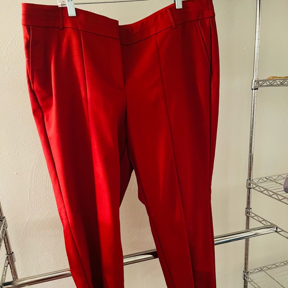Allie ankle pants from lane Bryant